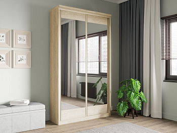 Шкаф-купе 2-х дверный