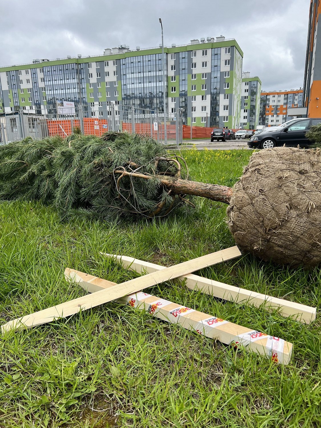 Экологическая акция "Эльба Мебель"