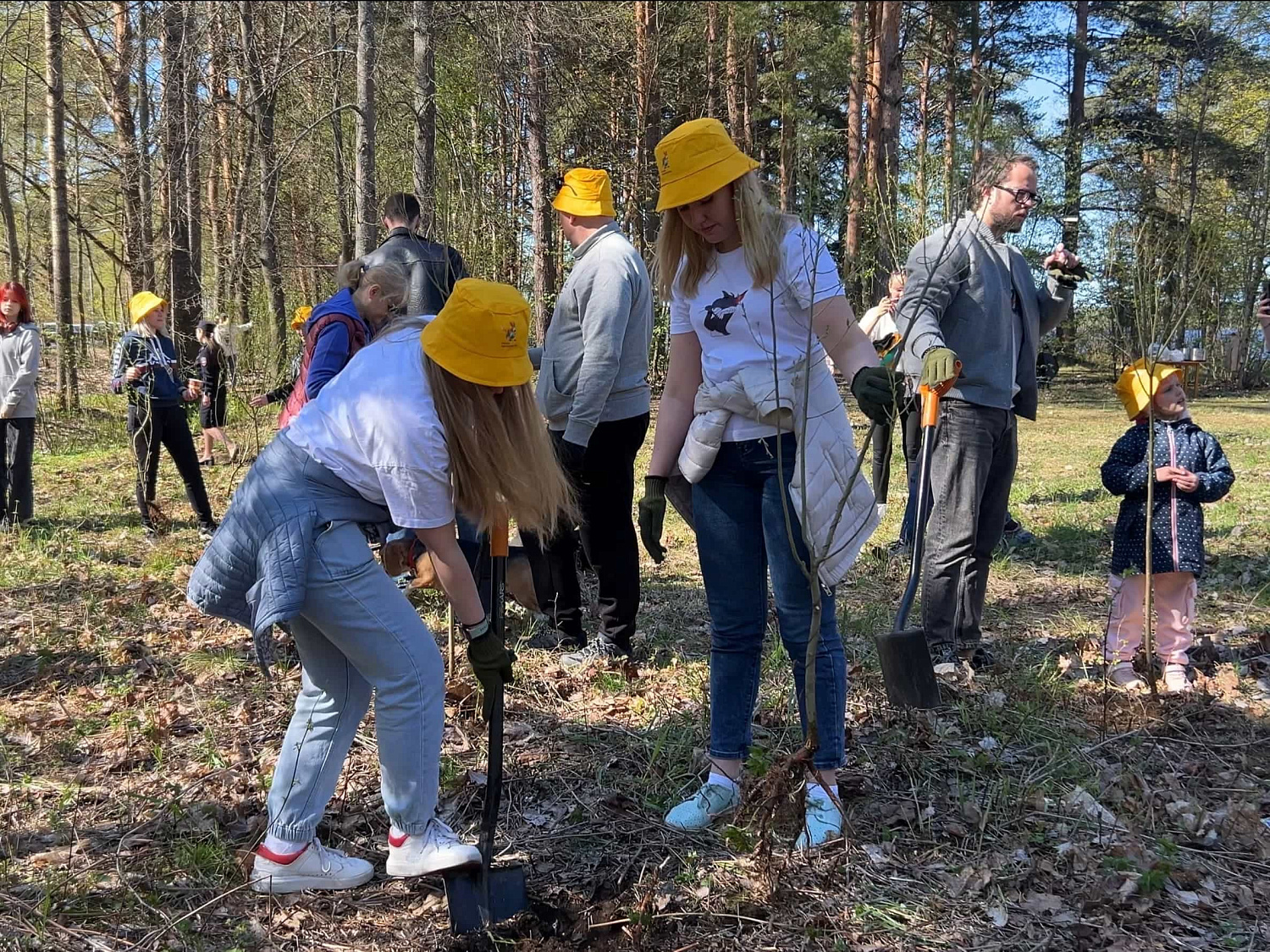 Ежегодная посадка деревьев