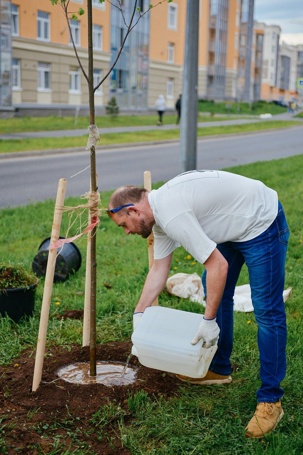 Эко-проект по высадке деревьев