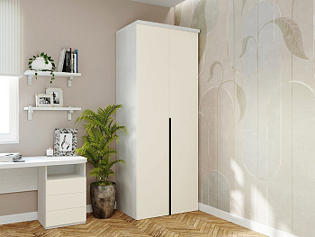 Шкаф Распашной