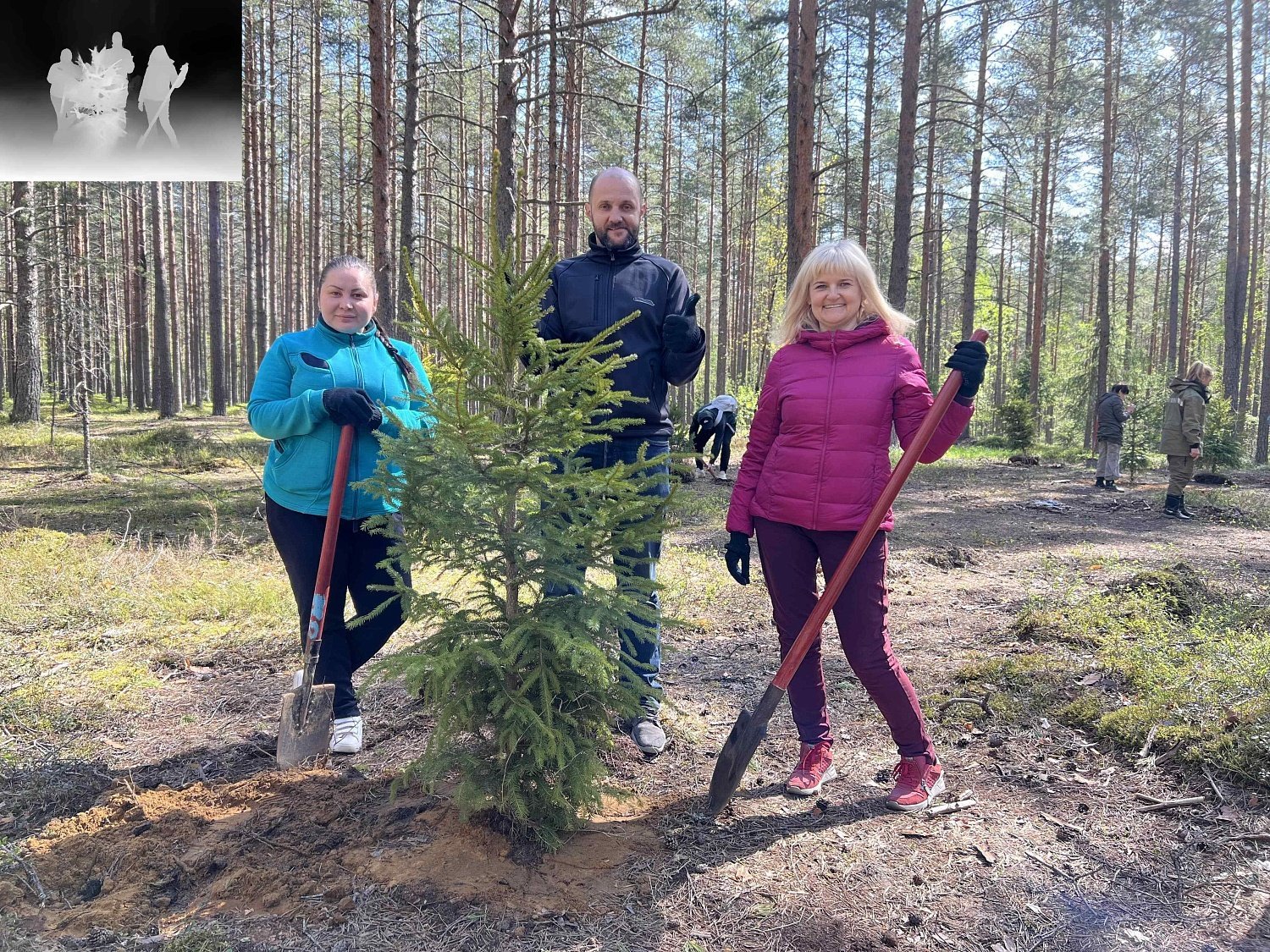 Эко-весна в Эльба Мебель