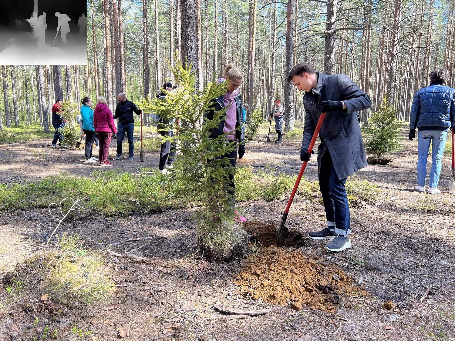 Эко-весна в Эльба Мебель