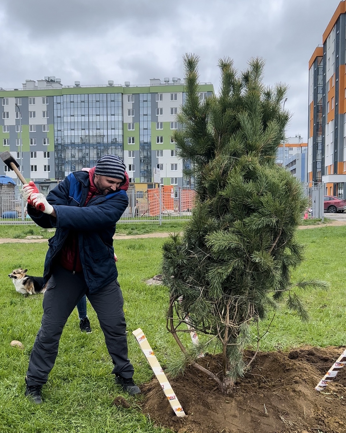 Экологическая акция "Эльба Мебель"