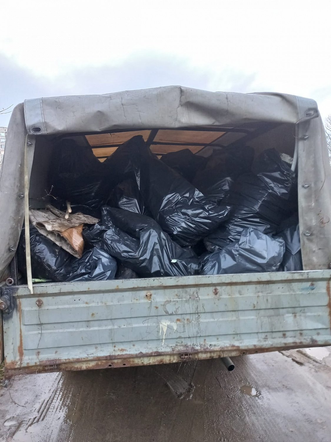 Субботник в Ржевском лесопарке