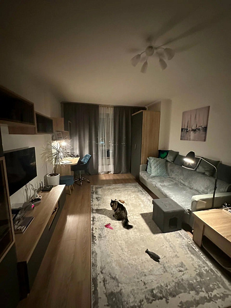 Комната с гостиной Вента