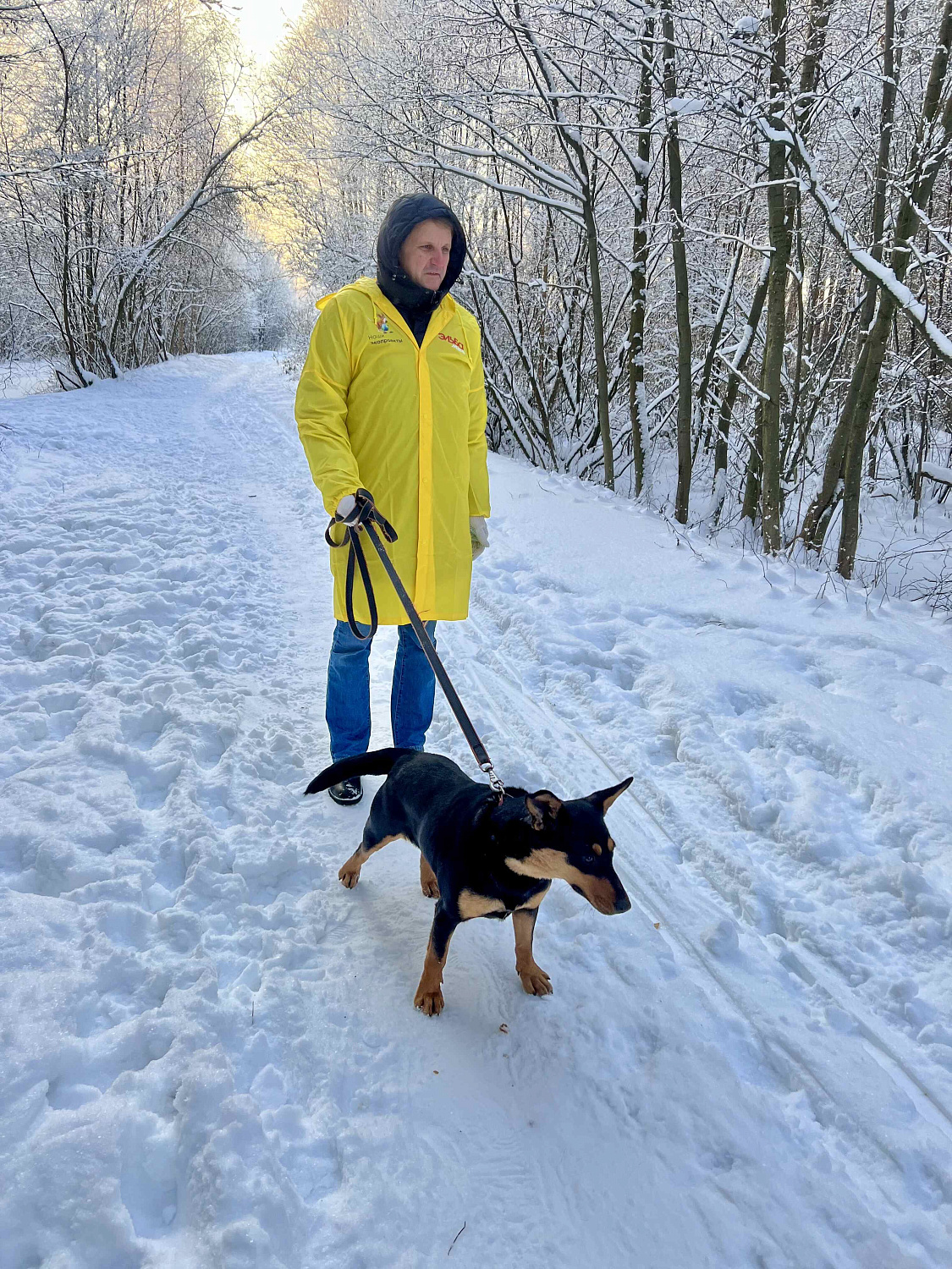 Прогулка с собачками